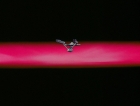ariane179254_StarTrek_1x03_WhereNoManHasGoneBefore_TheOriginalUncutUnairedVersion_0777.jpg