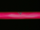 ariane179254_StarTrek_1x03_WhereNoManHasGoneBefore_TheOriginalUncutUnairedVersion_0778.jpg