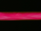 ariane179254_StarTrek_1x03_WhereNoManHasGoneBefore_TheOriginalUncutUnairedVersion_0781.jpg