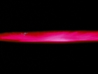 Filename=ariane179254_StarTrek_1x03_WhereNoManHasGoneBefore_TheOriginalUncutUnairedVersion_0870.jpg
Filesize=40KiB
Dimensions=1414x1080
Date added=Sep 03, 2015 ariane179254_StarTrek_1x03_WhereNoManHasGoneBefore_TheOriginalUncutUnairedVersion_0870.jpg