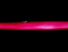 ariane179254_StarTrek_1x03_WhereNoManHasGoneBefore_TheOriginalUncutUnairedVersion_0871.jpg
