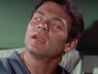 Filename=ariane179254_StarTrek_1x03_WhereNoManHasGoneBefore_TheOriginalUncutUnairedVersion_1456.jpg
Filesize=135KiB
Dimensions=1414x1080
Date added=Sep 03, 2015 ariane179254_StarTrek_1x03_WhereNoManHasGoneBefore_TheOriginalUncutUnairedVersion_1456.jpg