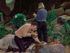 Filename=ariane179254_StarTrek_1x03_WhereNoManHasGoneBefore_TheOriginalUncutUnairedVersion_2957.jpg
Filesize=212KiB
Dimensions=1414x1080
Date added=Sep 03, 2015 ariane179254_StarTrek_1x03_WhereNoManHasGoneBefore_TheOriginalUncutUnairedVersion_2957.jpg