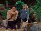 Filename=ariane179254_StarTrek_1x03_WhereNoManHasGoneBefore_TheOriginalUncutUnairedVersion_2975.jpg
Filesize=222KiB
Dimensions=1414x1080
Date added=Sep 03, 2015 ariane179254_StarTrek_1x03_WhereNoManHasGoneBefore_TheOriginalUncutUnairedVersion_2975.jpg