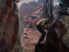 Filename=ariane179254_StarTrek_1x03_WhereNoManHasGoneBefore_TheOriginalUncutUnairedVersion_3060.jpg
Filesize=203KiB
Dimensions=1414x1080
Date added=Sep 03, 2015 ariane179254_StarTrek_1x03_WhereNoManHasGoneBefore_TheOriginalUncutUnairedVersion_3060.jpg