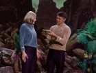 Filename=ariane179254_StarTrek_1x03_WhereNoManHasGoneBefore_TheOriginalUncutUnairedVersion_3066.jpg
Filesize=198KiB
Dimensions=1414x1080
Date added=Sep 03, 2015 ariane179254_StarTrek_1x03_WhereNoManHasGoneBefore_TheOriginalUncutUnairedVersion_3066.jpg