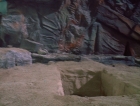ariane179254_StarTrek_1x03_WhereNoManHasGoneBefore_TheOriginalUncutUnairedVersion_3280.jpg