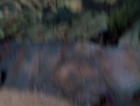 ariane179254_StarTrek_1x03_WhereNoManHasGoneBefore_TheOriginalUncutUnairedVersion_3353.jpg