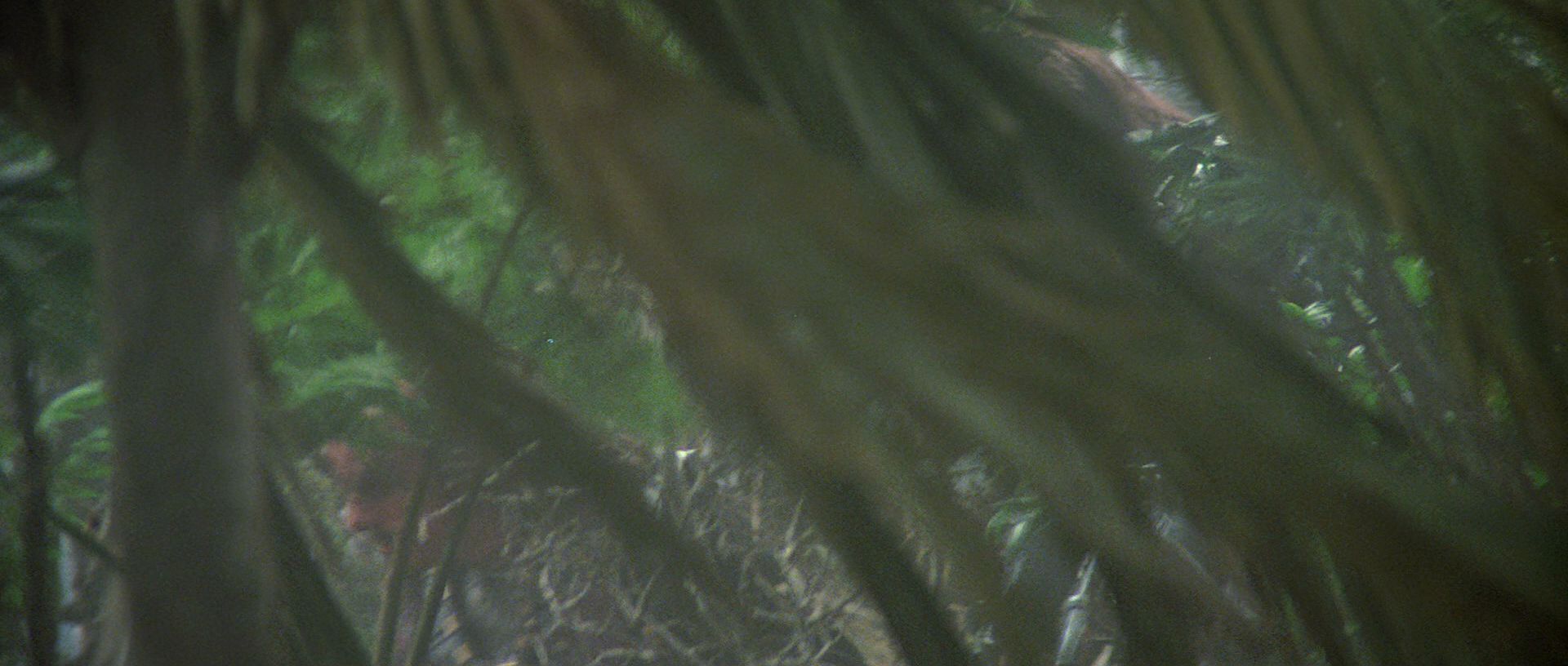 extant_StarTrek3_TheSearchForSpock_03738.jpg