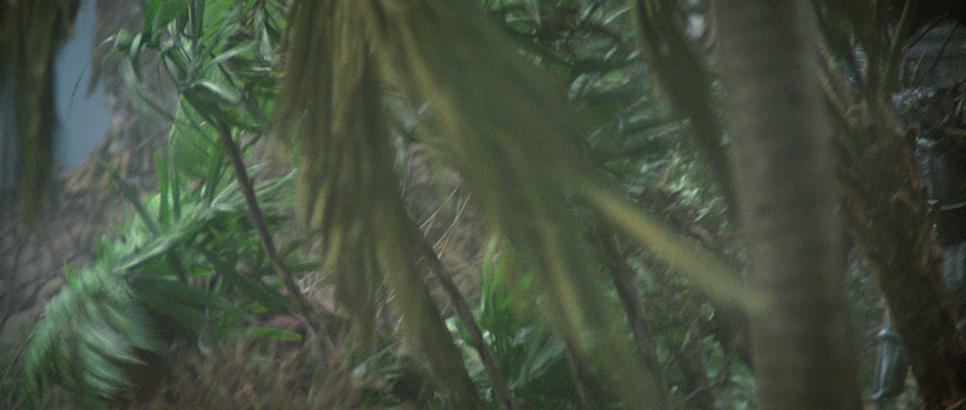 extant_StarTrek3_TheSearchForSpock_03740.jpg