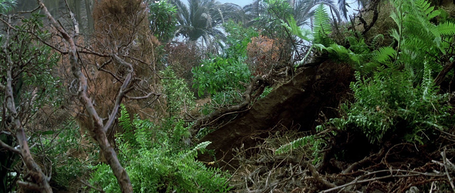 extant_StarTrek3_TheSearchForSpock_03837.jpg