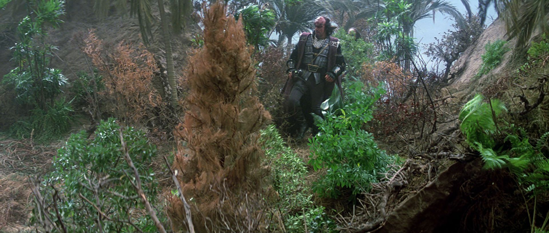 extant_StarTrek3_TheSearchForSpock_03841.jpg