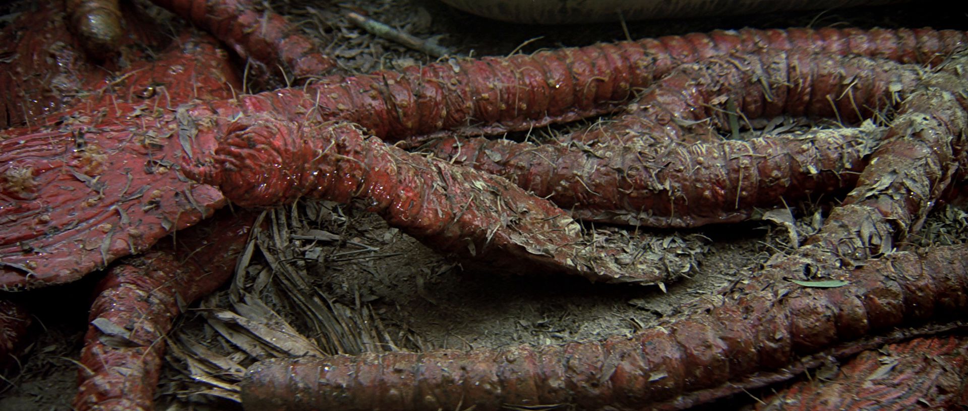 extant_StarTrek3_TheSearchForSpock_03849.jpg