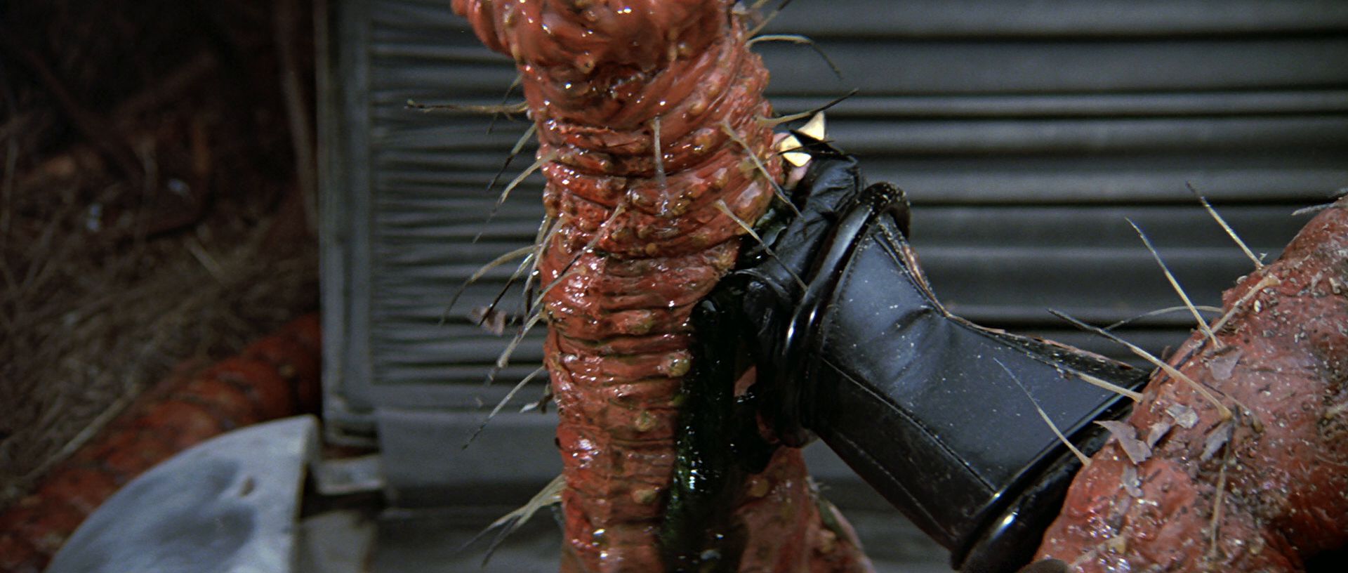 extant_StarTrek3_TheSearchForSpock_03878.jpg