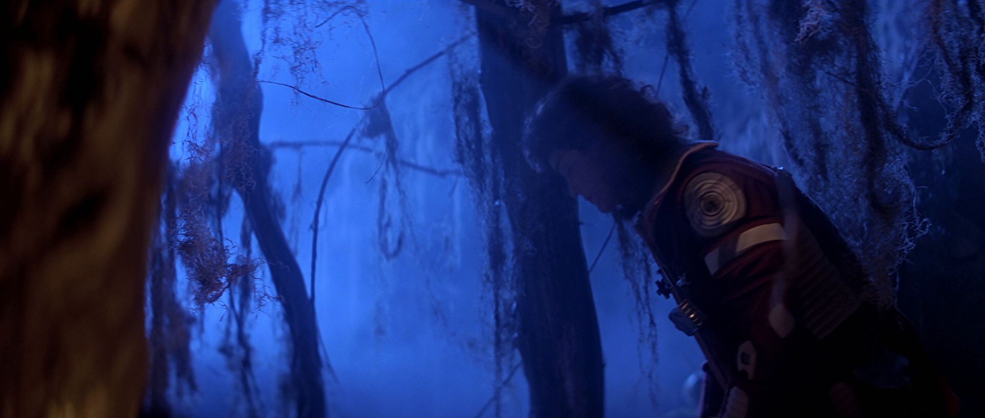 extant_StarTrek3_TheSearchForSpock_03954.jpg