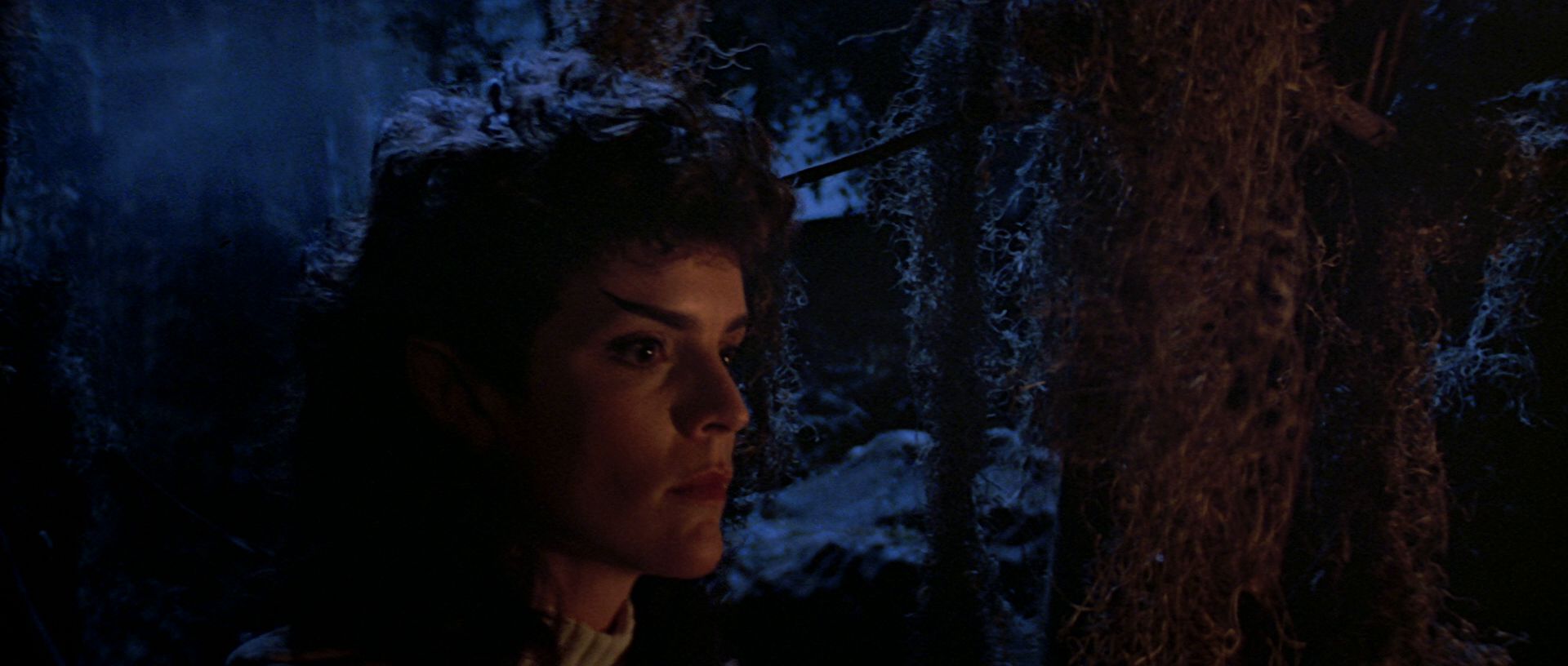 extant_StarTrek3_TheSearchForSpock_04120.jpg