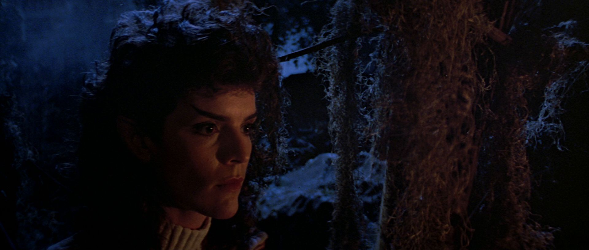 extant_StarTrek3_TheSearchForSpock_04122.jpg