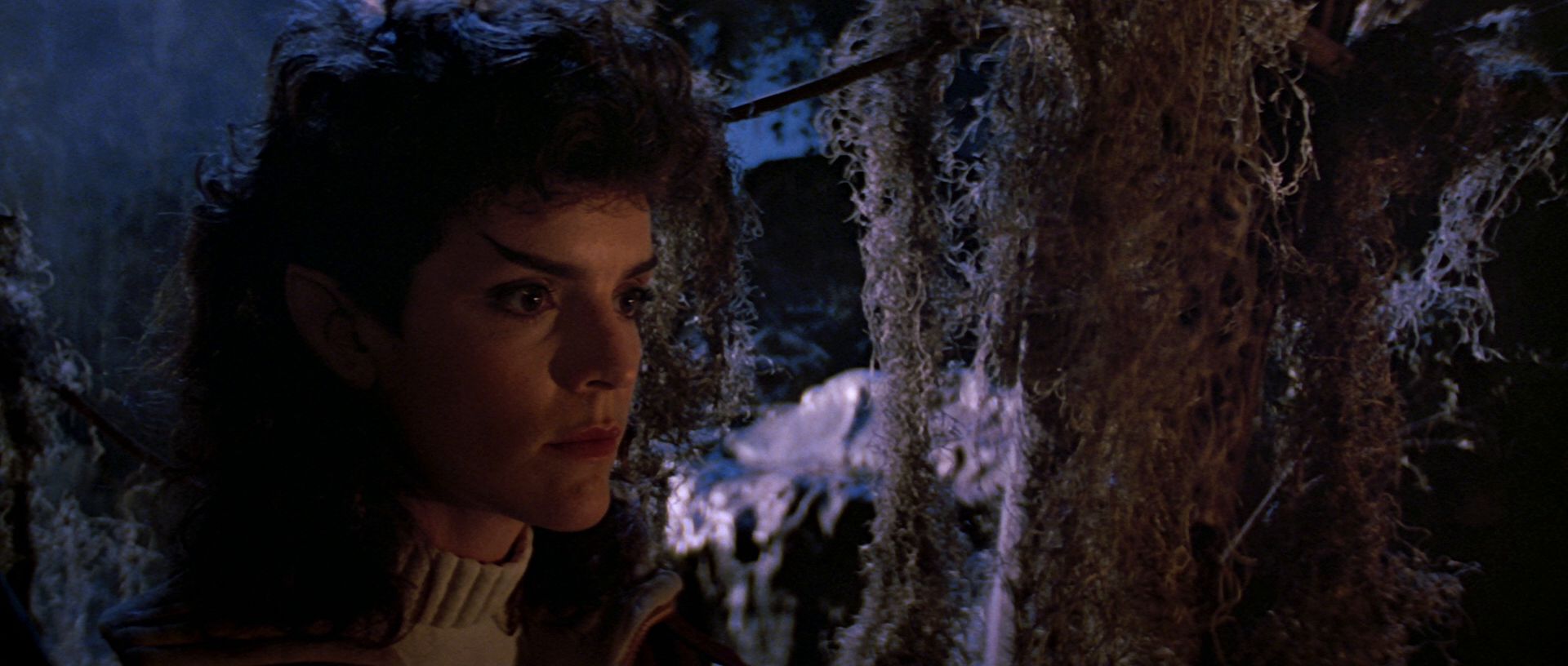 extant_StarTrek3_TheSearchForSpock_04124.jpg