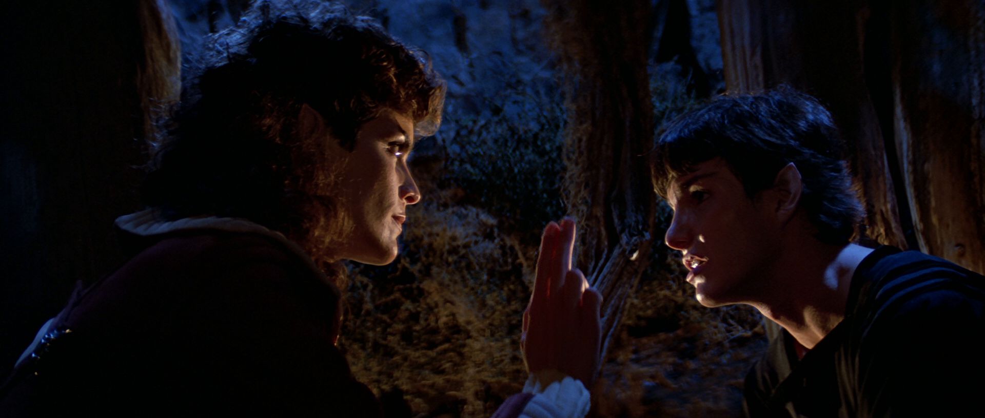 extant_StarTrek3_TheSearchForSpock_04171.jpg