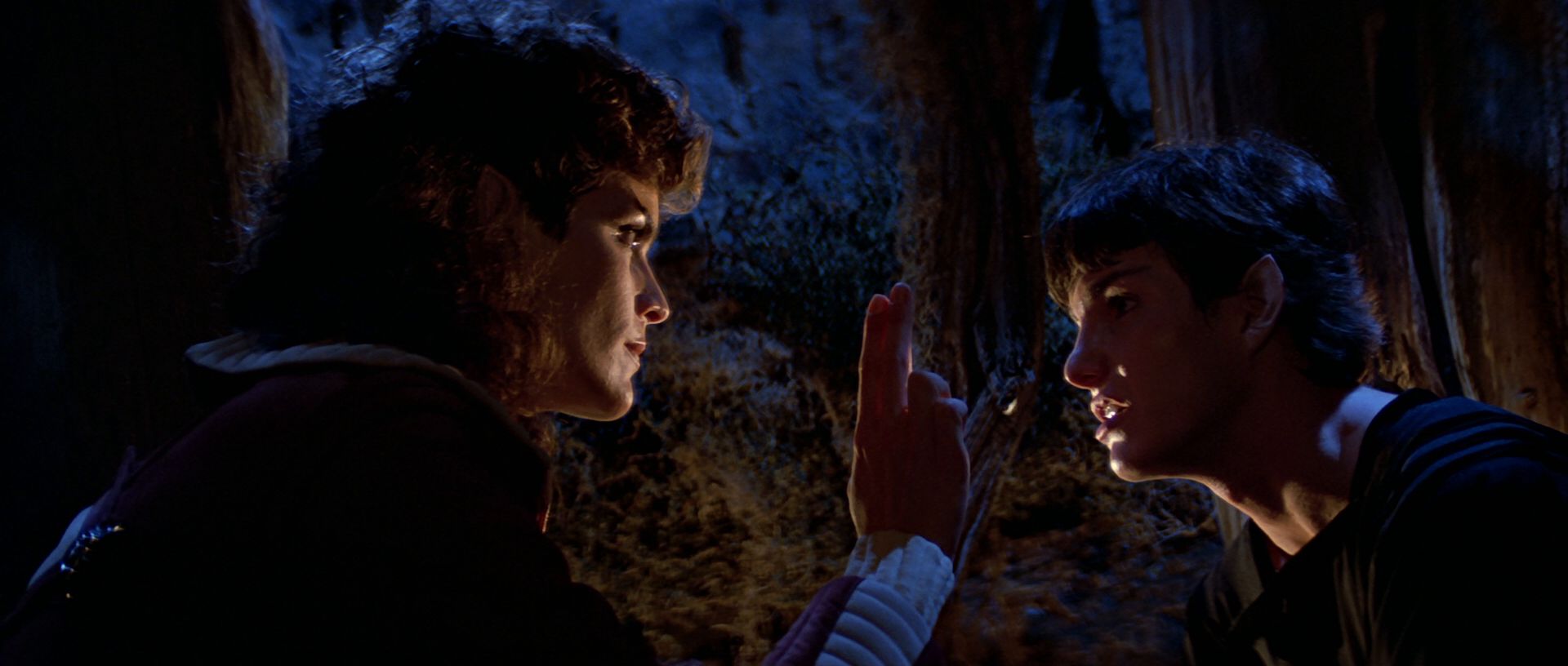 extant_StarTrek3_TheSearchForSpock_04172.jpg