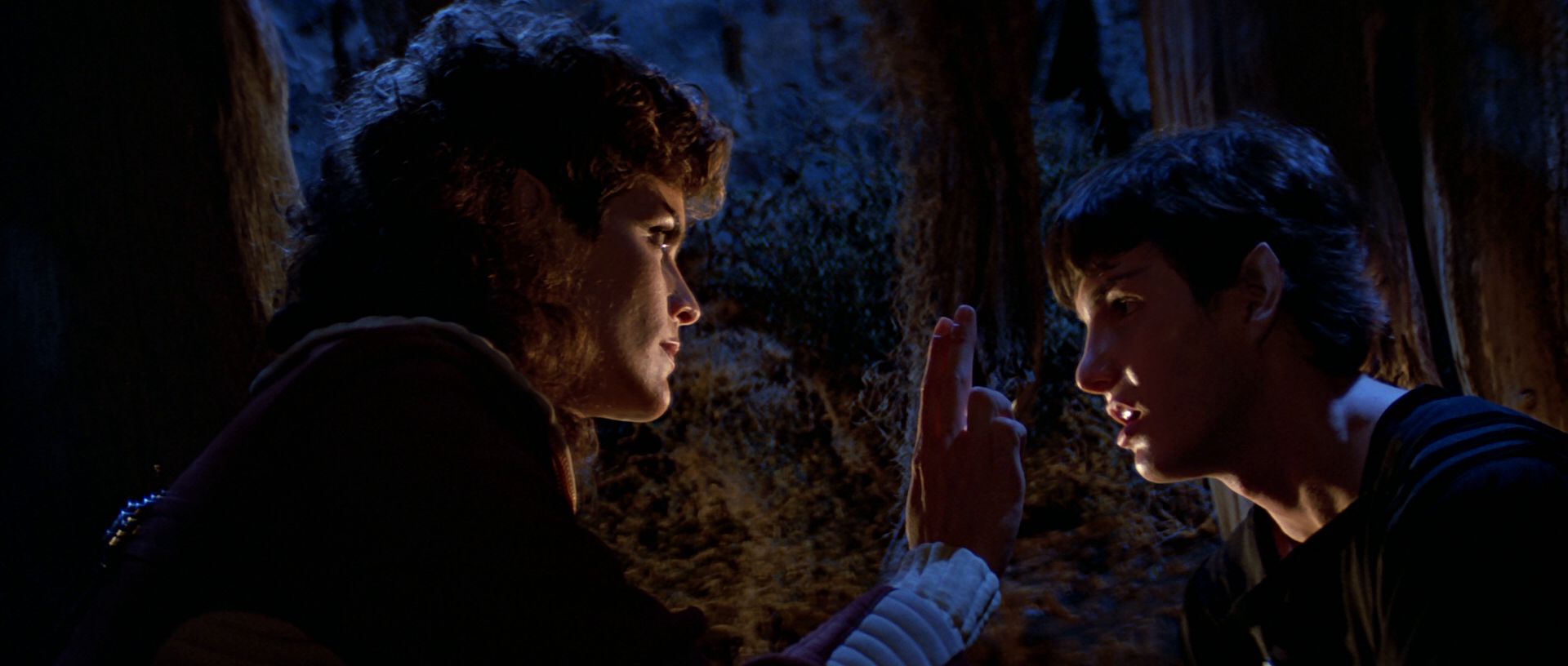 extant_StarTrek3_TheSearchForSpock_04175.jpg