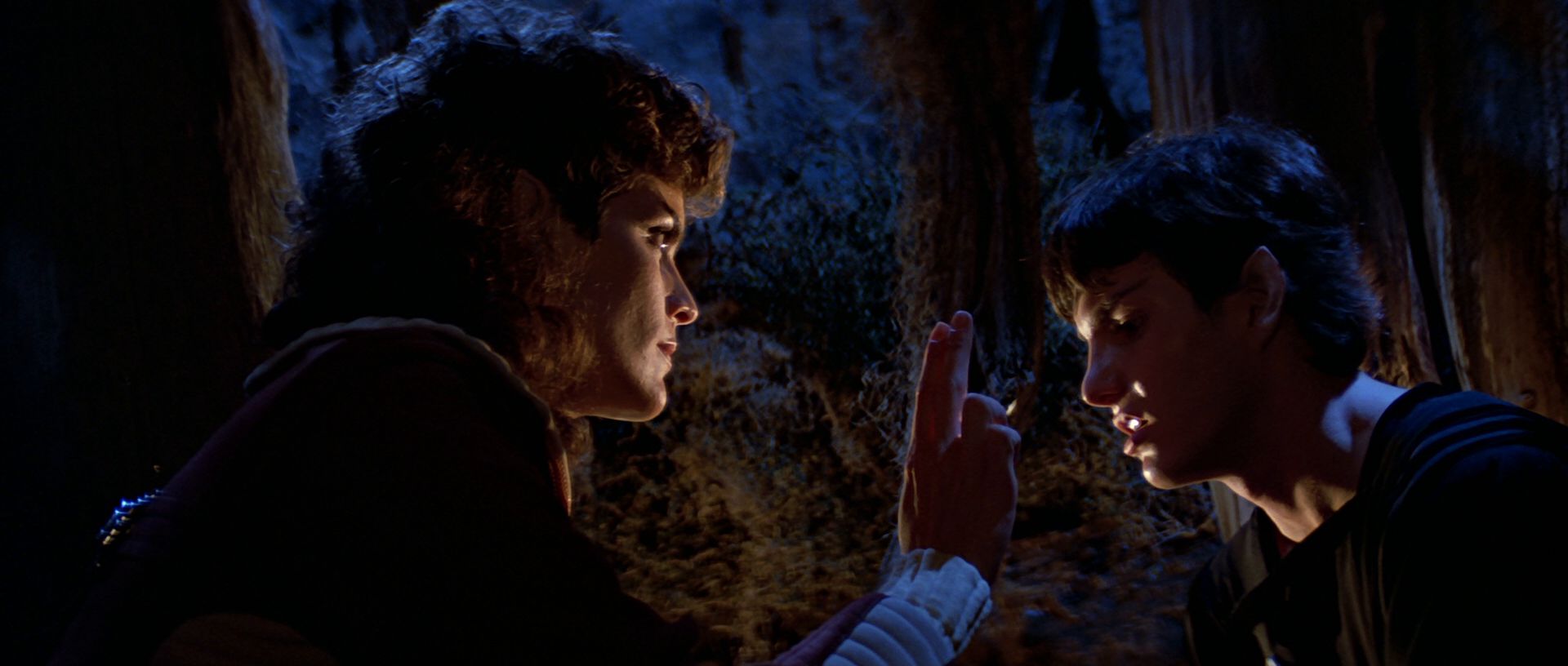 extant_StarTrek3_TheSearchForSpock_04176.jpg
