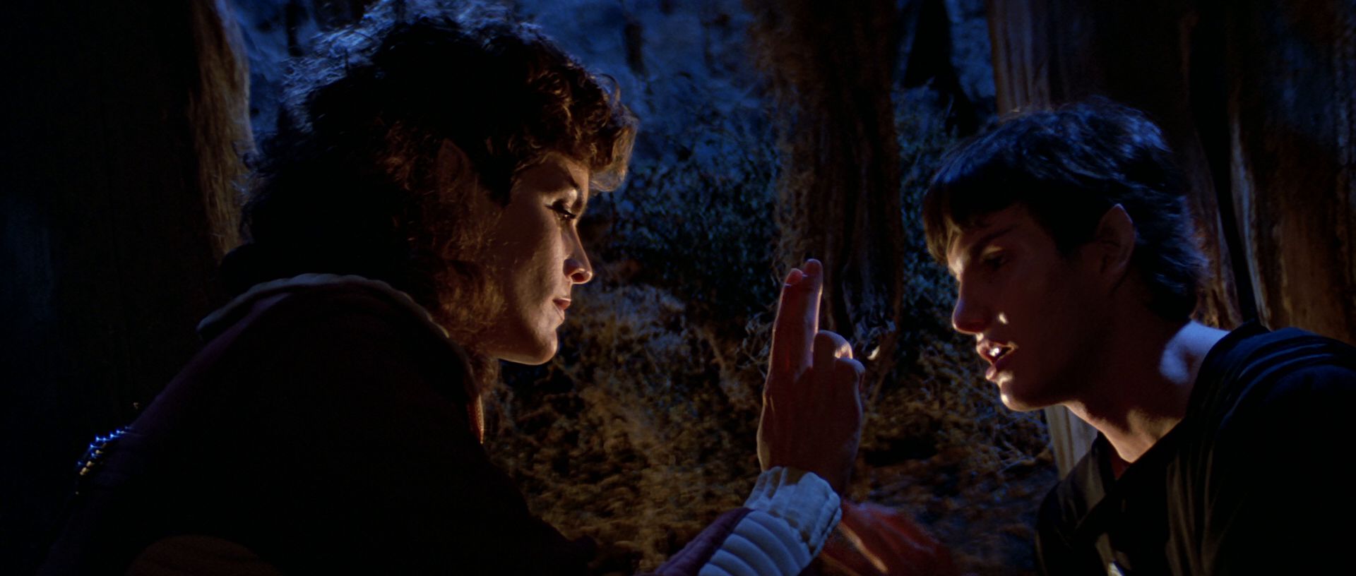 extant_StarTrek3_TheSearchForSpock_04178.jpg