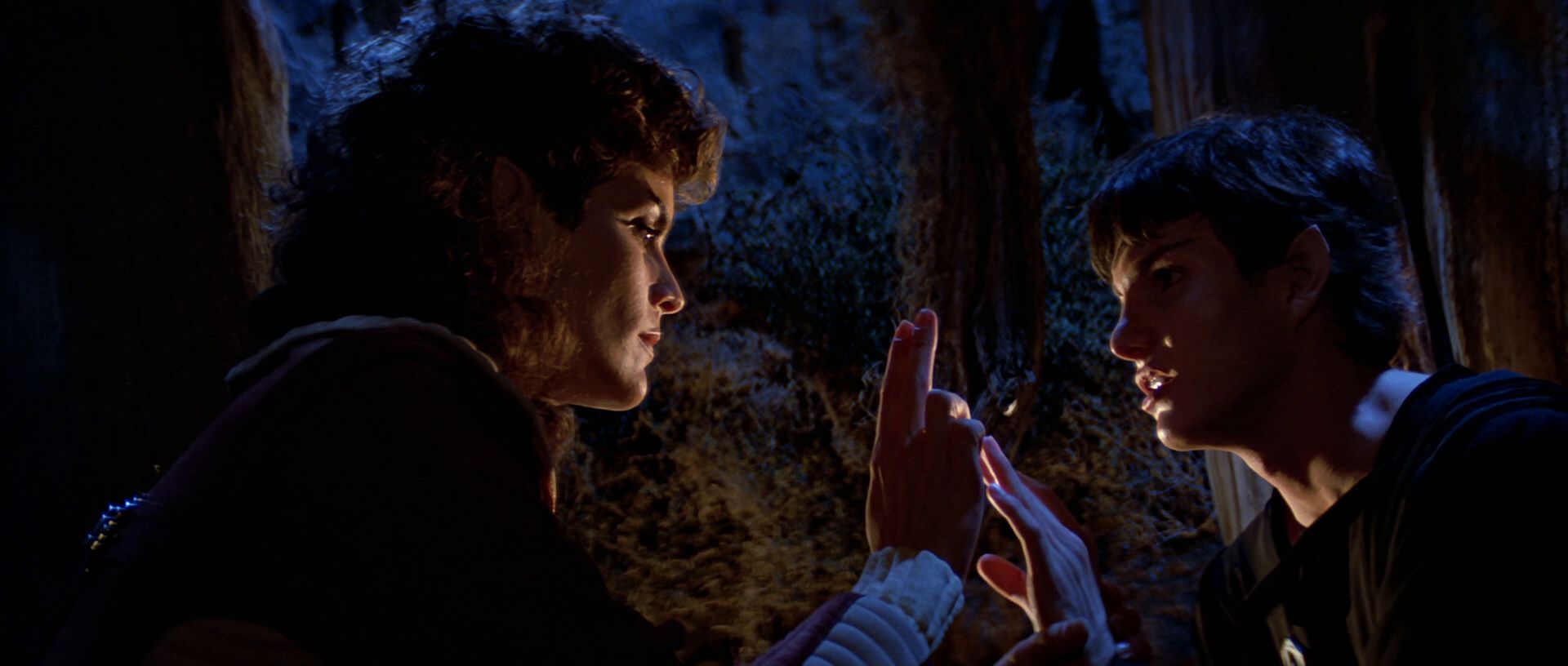 extant_StarTrek3_TheSearchForSpock_04179.jpg