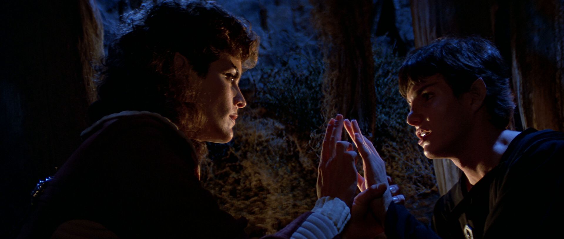 extant_StarTrek3_TheSearchForSpock_04180.jpg
