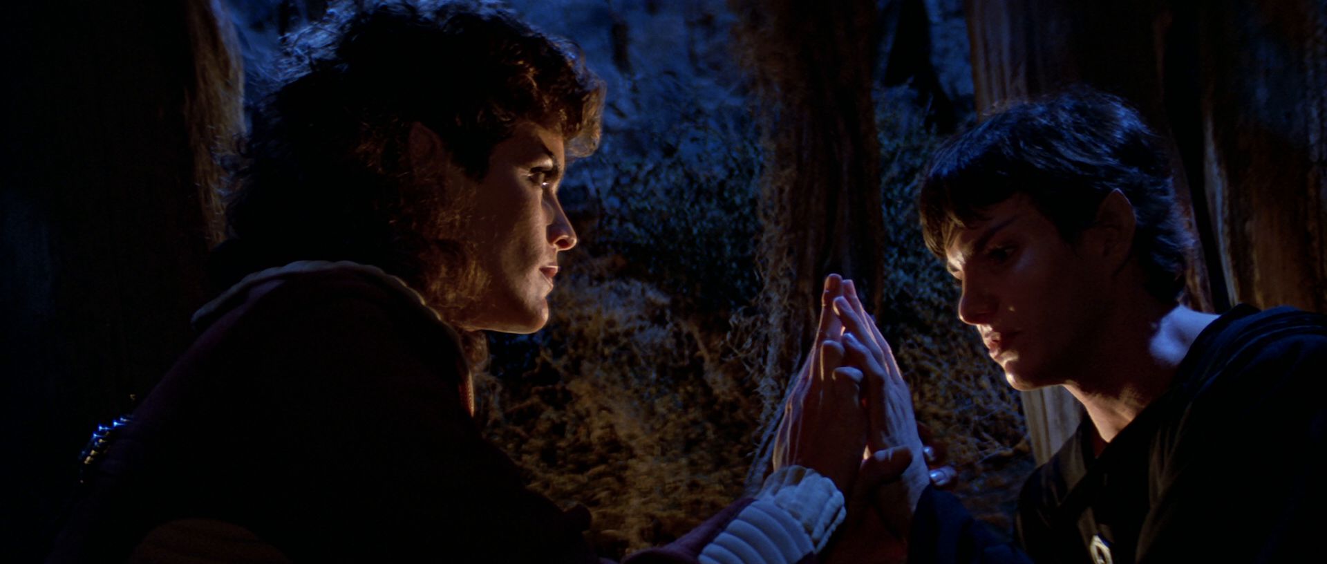 extant_StarTrek3_TheSearchForSpock_04182.jpg