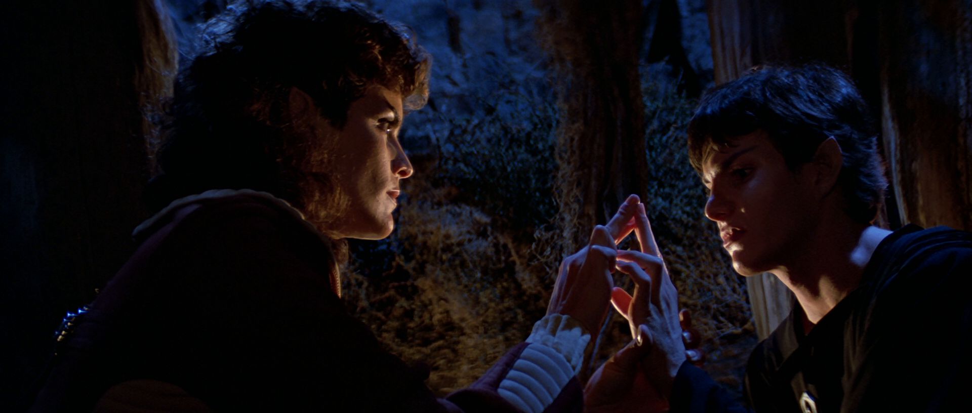 extant_StarTrek3_TheSearchForSpock_04184.jpg