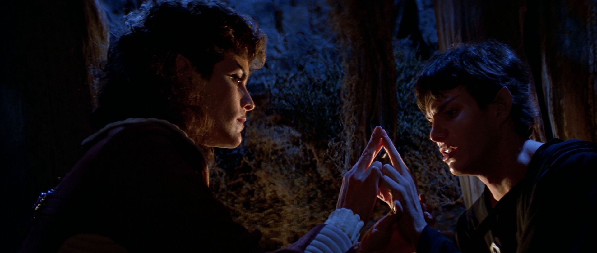 extant_StarTrek3_TheSearchForSpock_04185.jpg