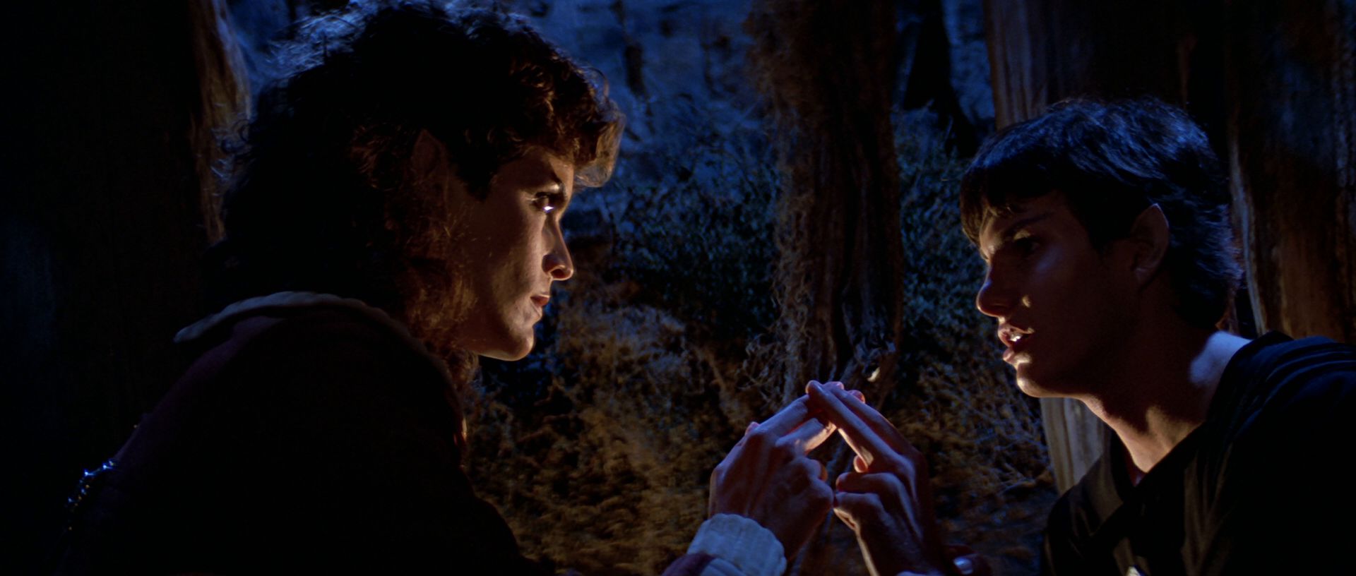 extant_StarTrek3_TheSearchForSpock_04200.jpg