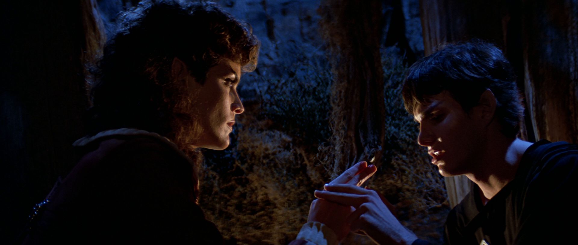 extant_StarTrek3_TheSearchForSpock_04206.jpg