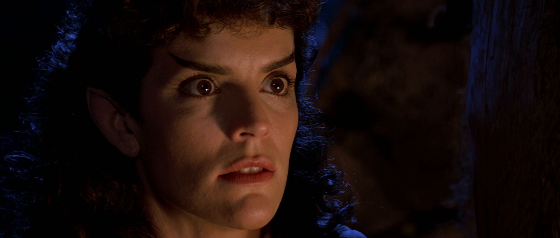 extant_StarTrek3_TheSearchForSpock_04239.jpg