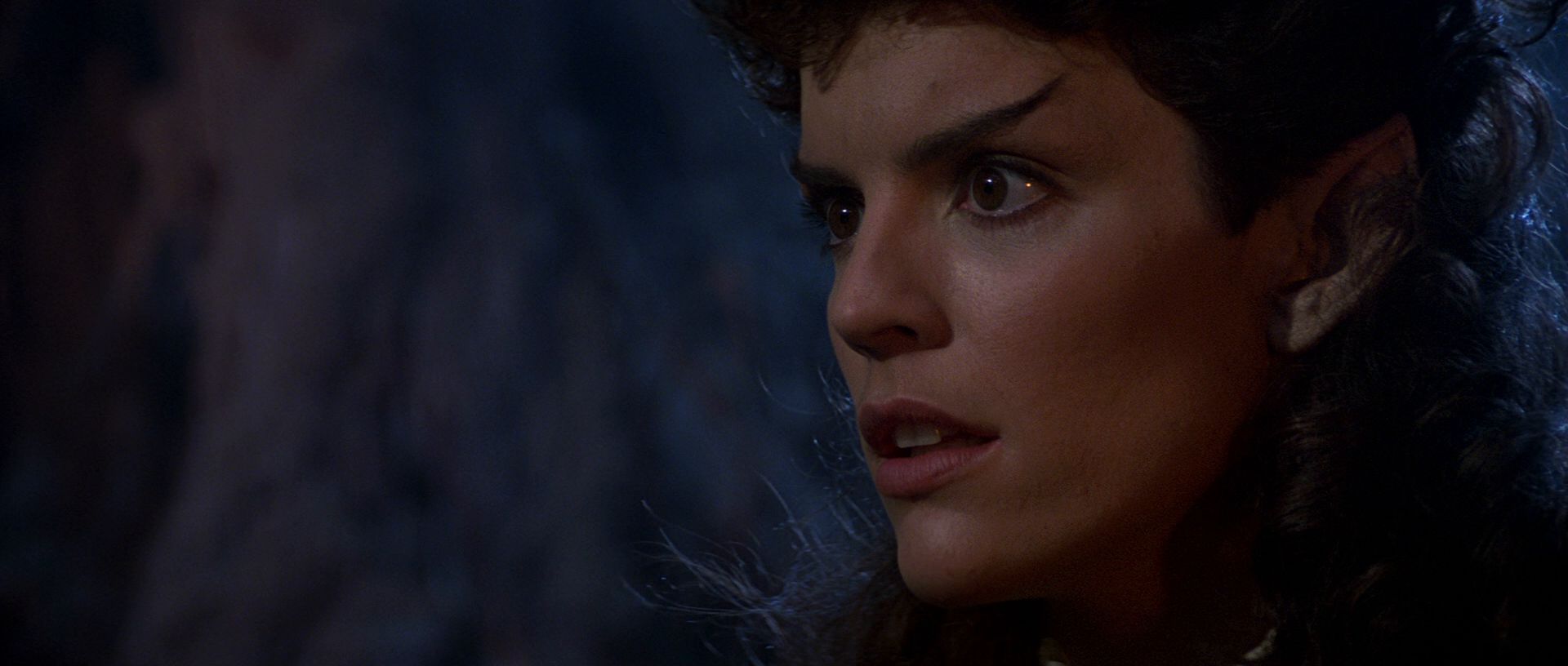 extant_StarTrek3_TheSearchForSpock_05585.jpg