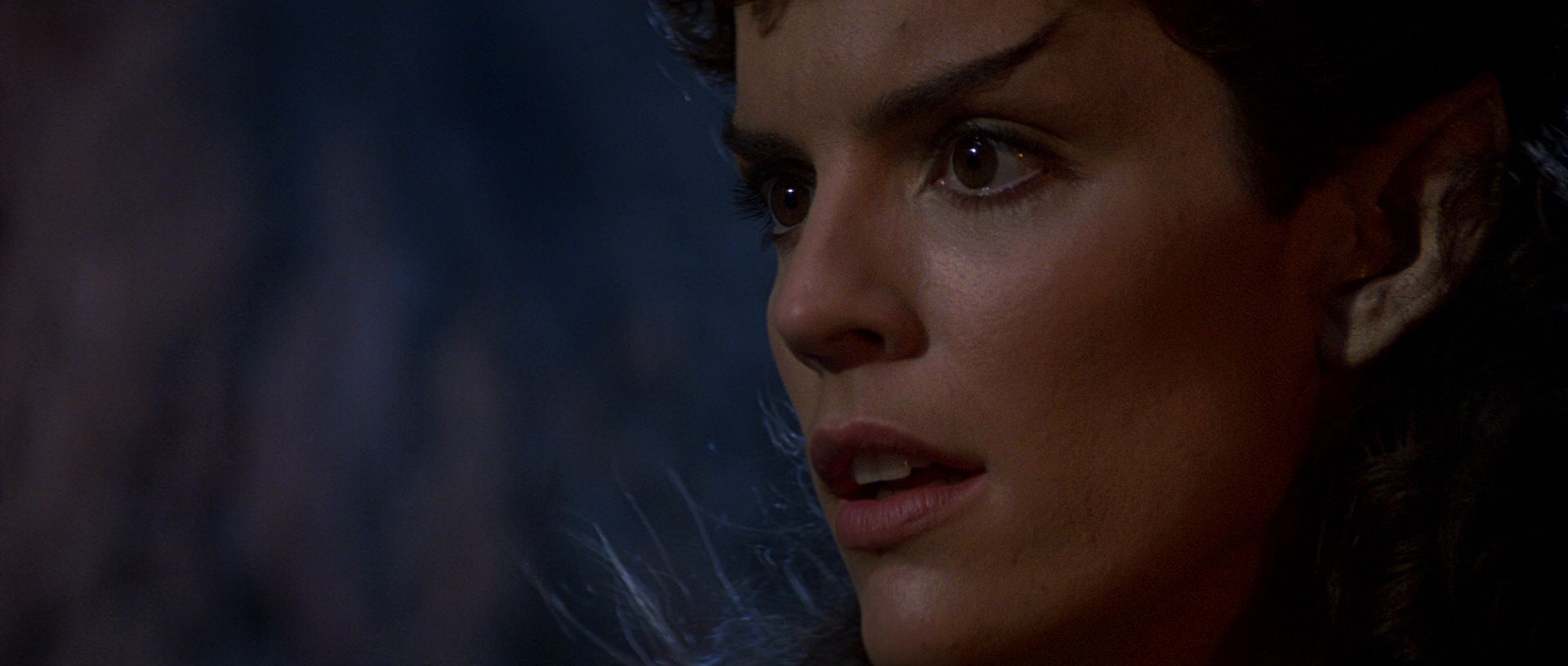 extant_StarTrek3_TheSearchForSpock_05590.jpg
