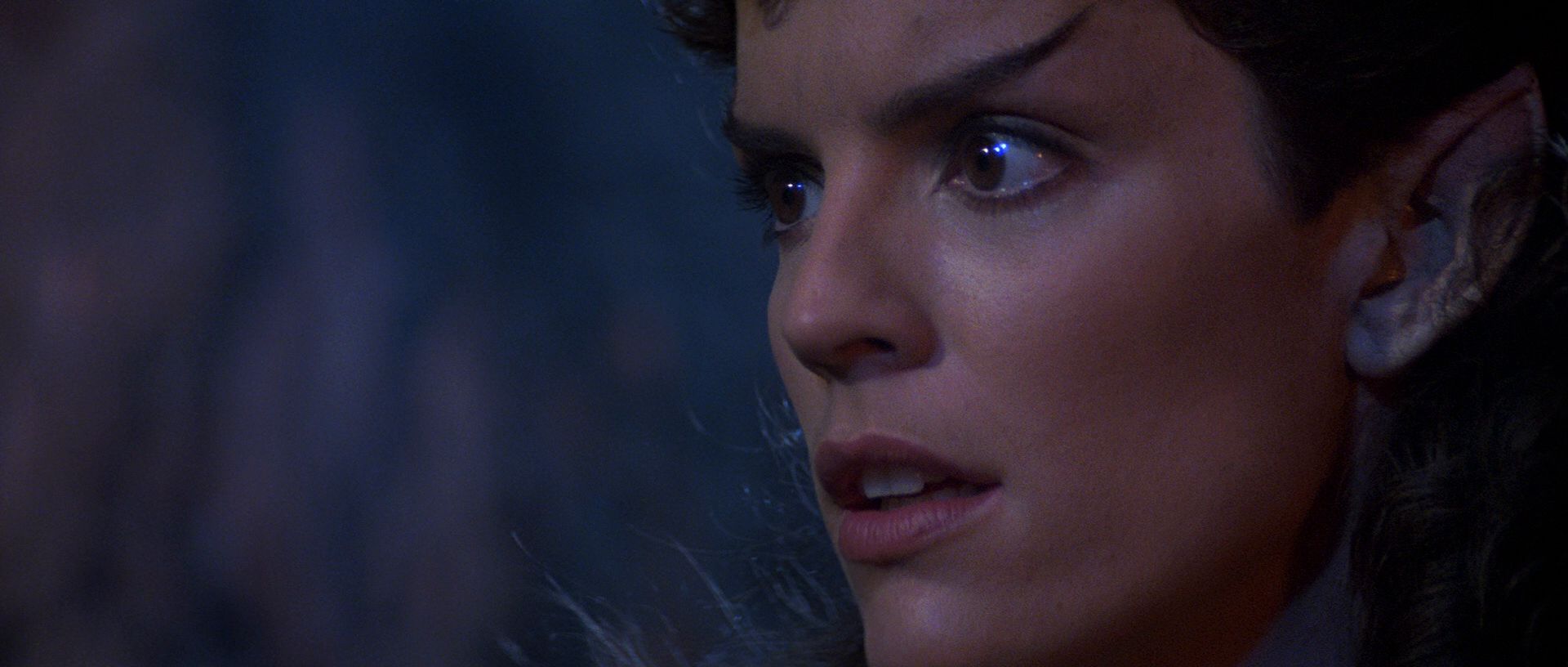 extant_StarTrek3_TheSearchForSpock_05591.jpg