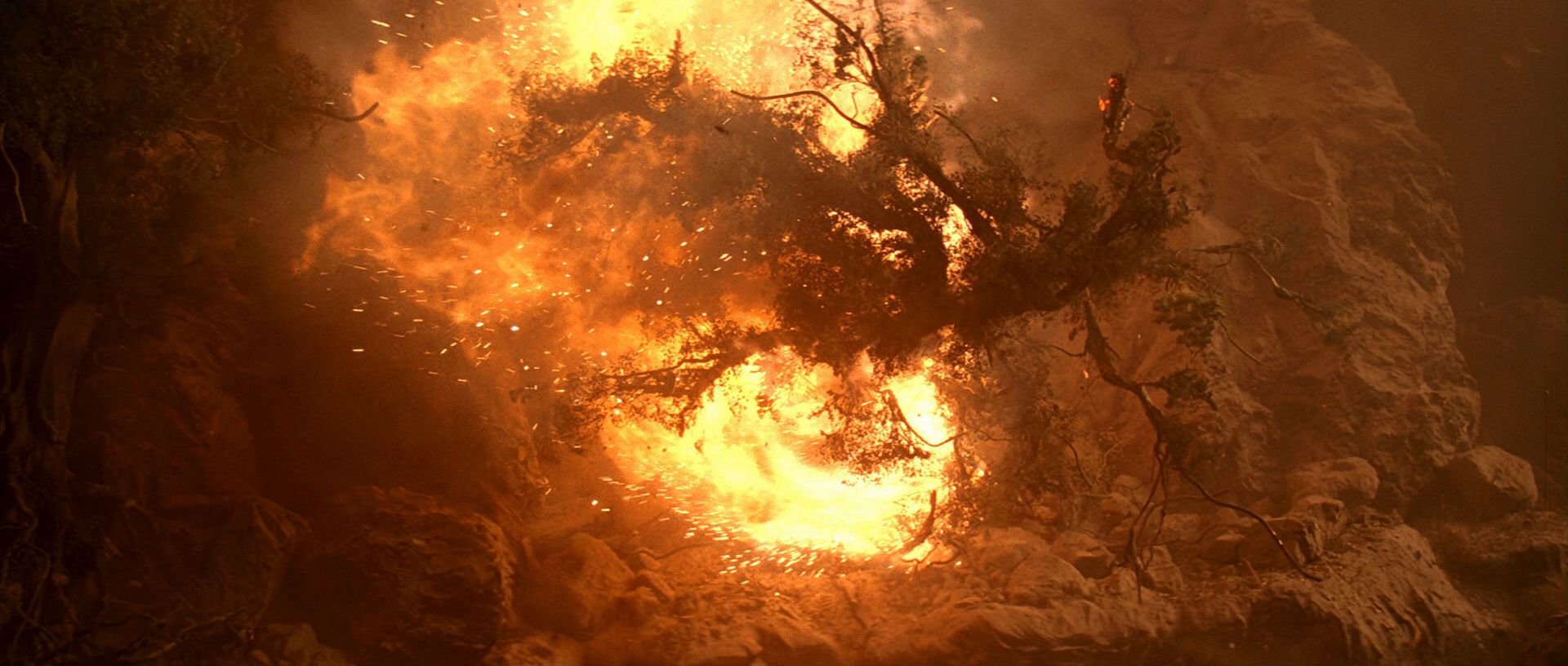extant_StarTrek3_TheSearchForSpock_06052.jpg