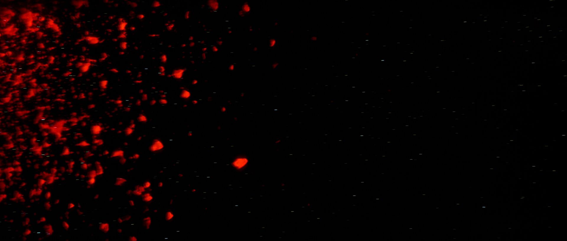 extant_StarTrek3_TheSearchForSpock_06185.jpg