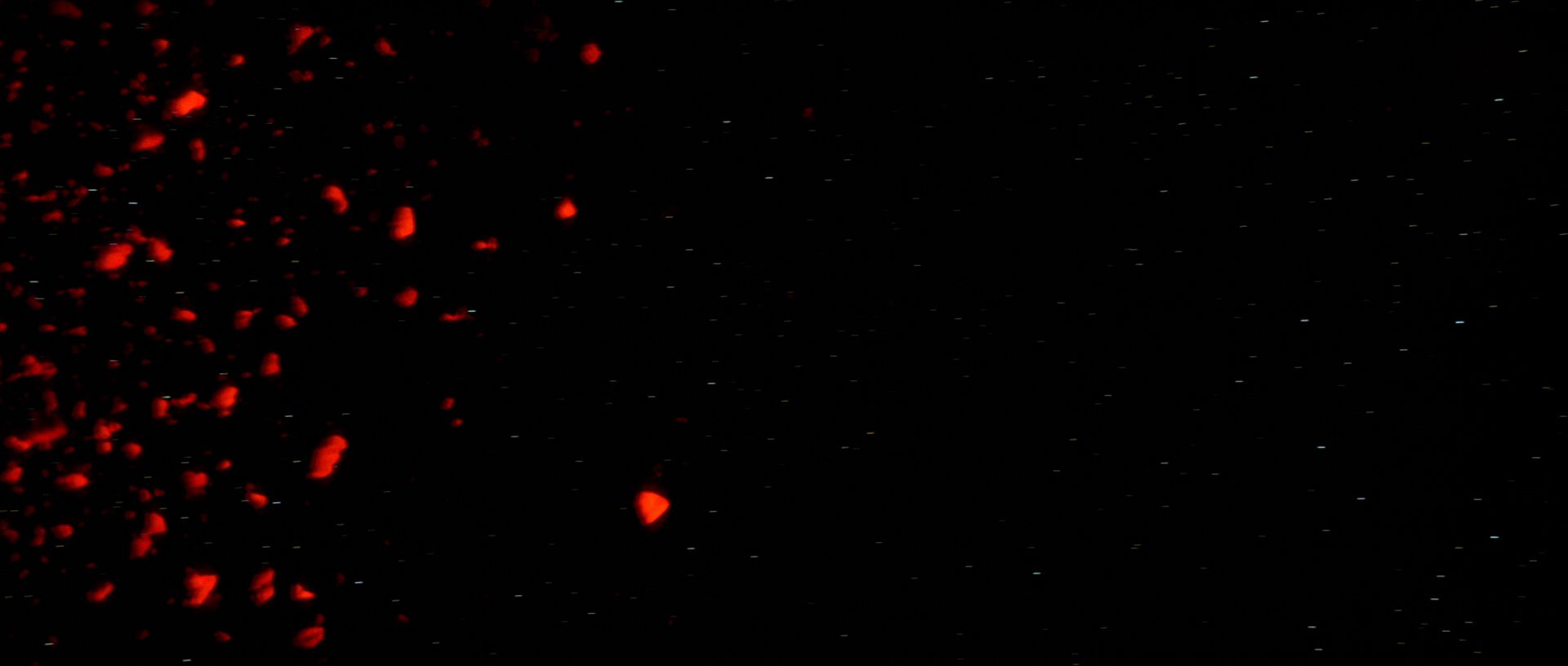 extant_StarTrek3_TheSearchForSpock_06186.jpg