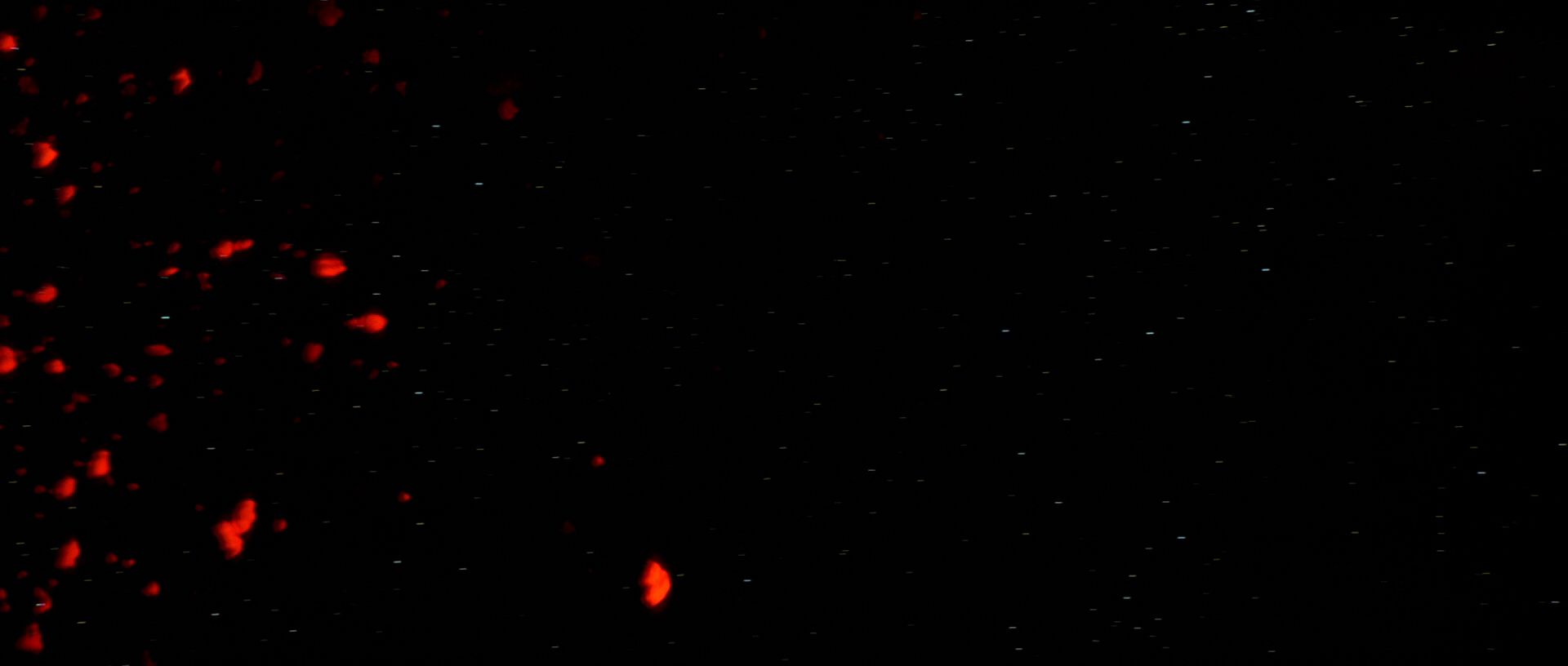 extant_StarTrek3_TheSearchForSpock_06187.jpg