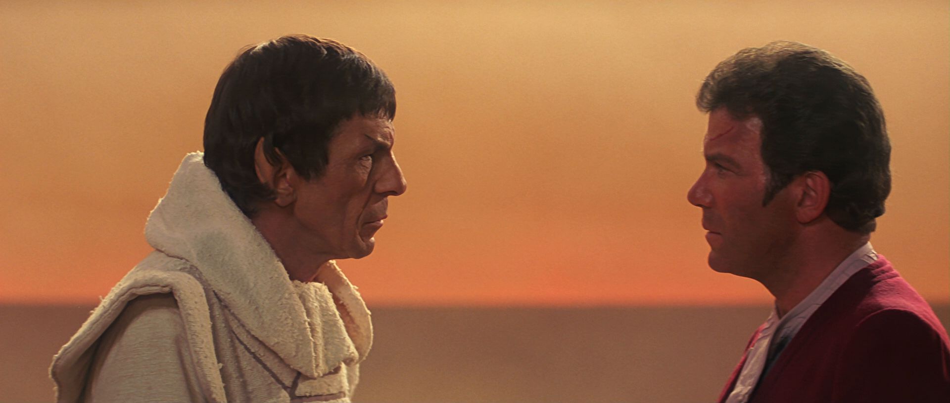 extant_StarTrek3_TheSearchForSpock_06998.jpg
