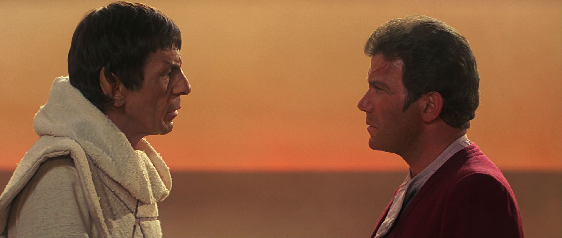 extant_StarTrek3_TheSearchForSpock_07005.jpg