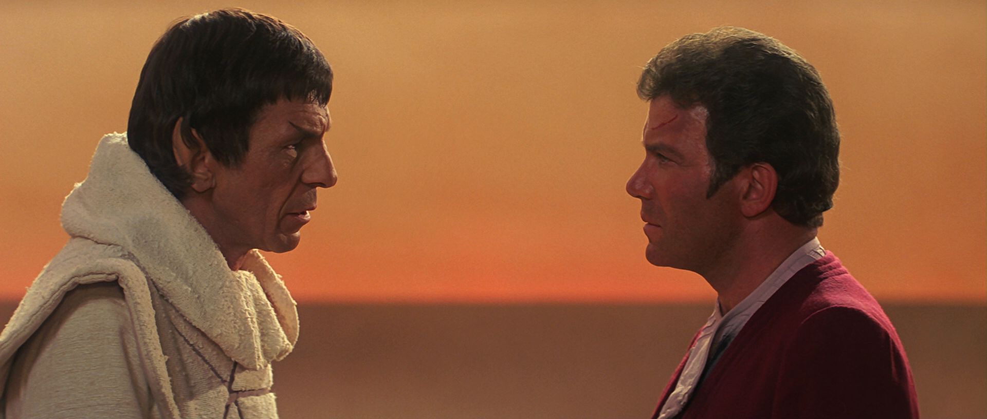extant_StarTrek3_TheSearchForSpock_07009.jpg