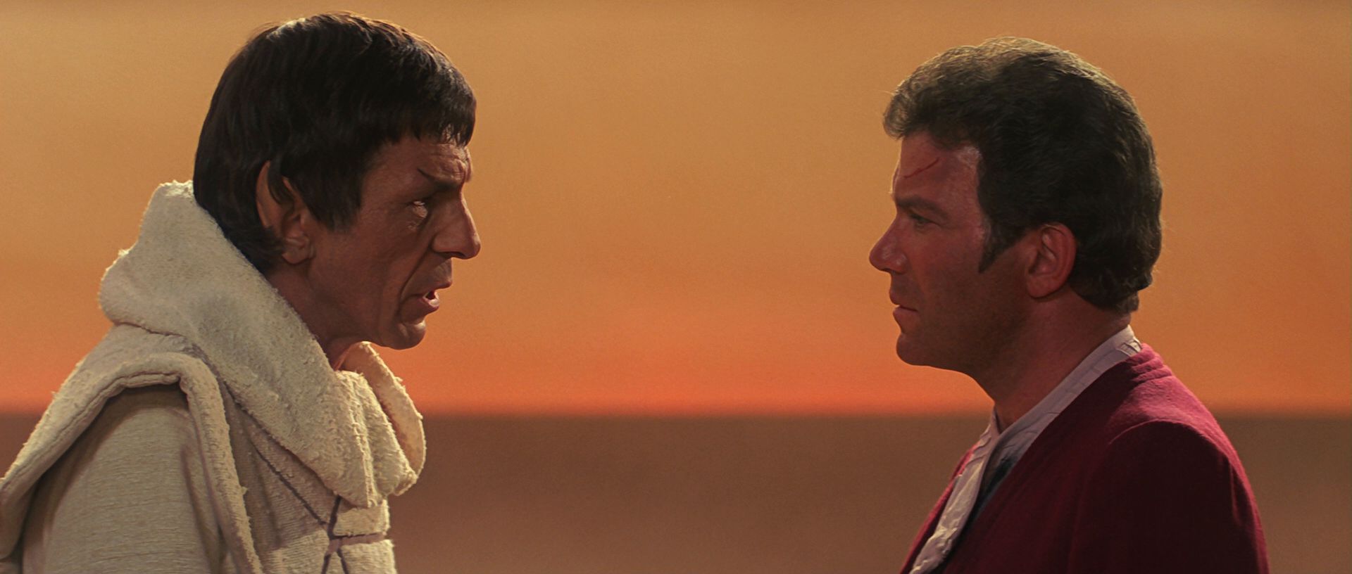 extant_StarTrek3_TheSearchForSpock_07012.jpg