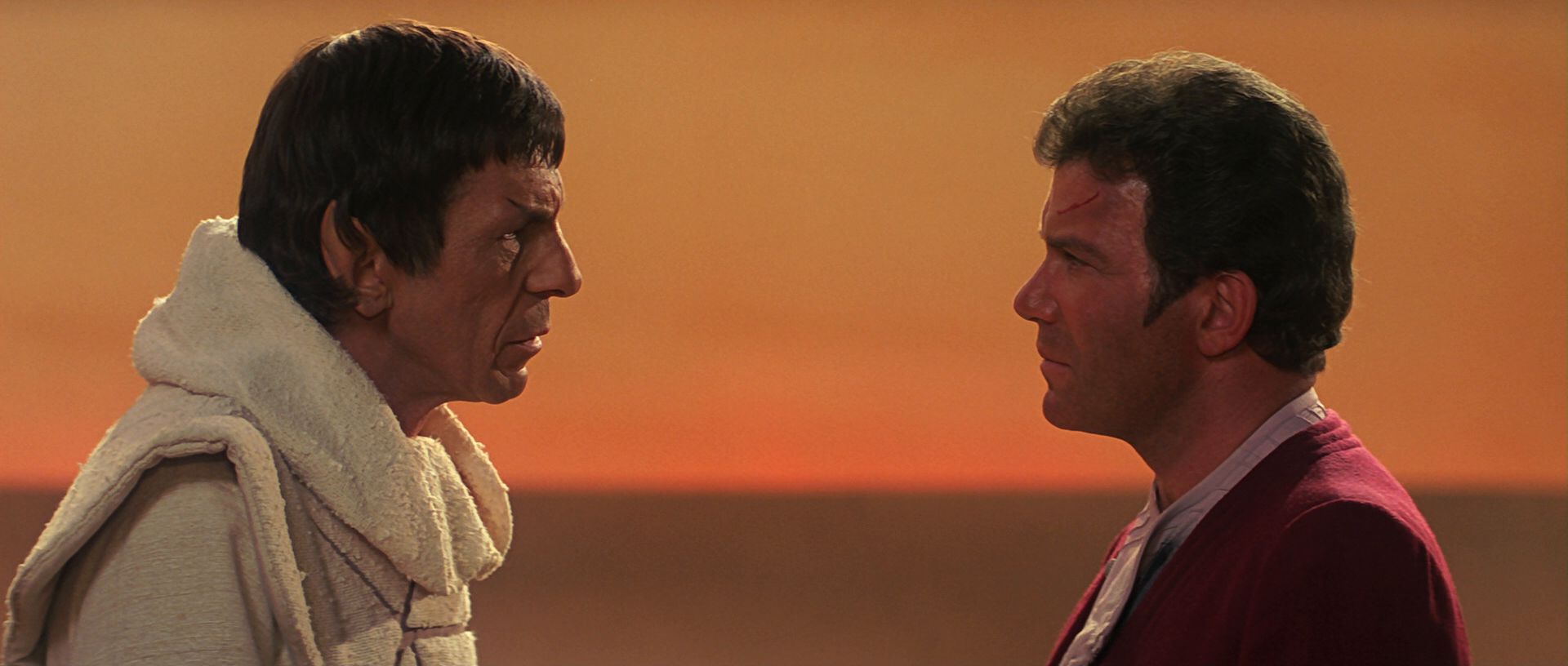 extant_StarTrek3_TheSearchForSpock_07026.jpg