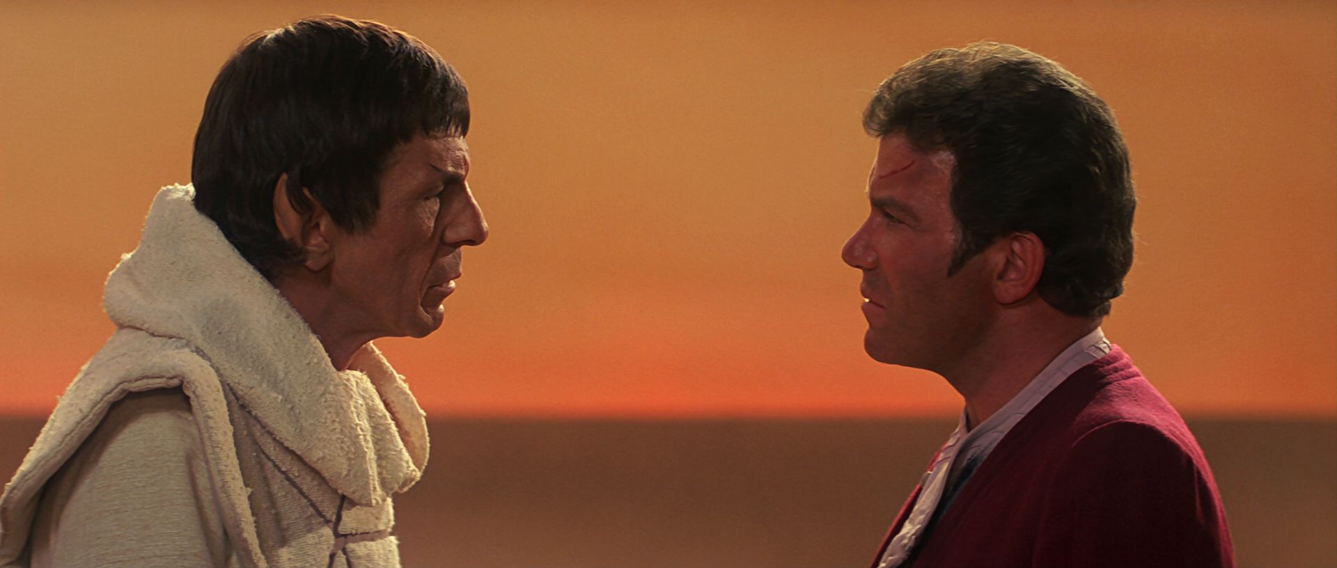 extant_StarTrek3_TheSearchForSpock_07029.jpg