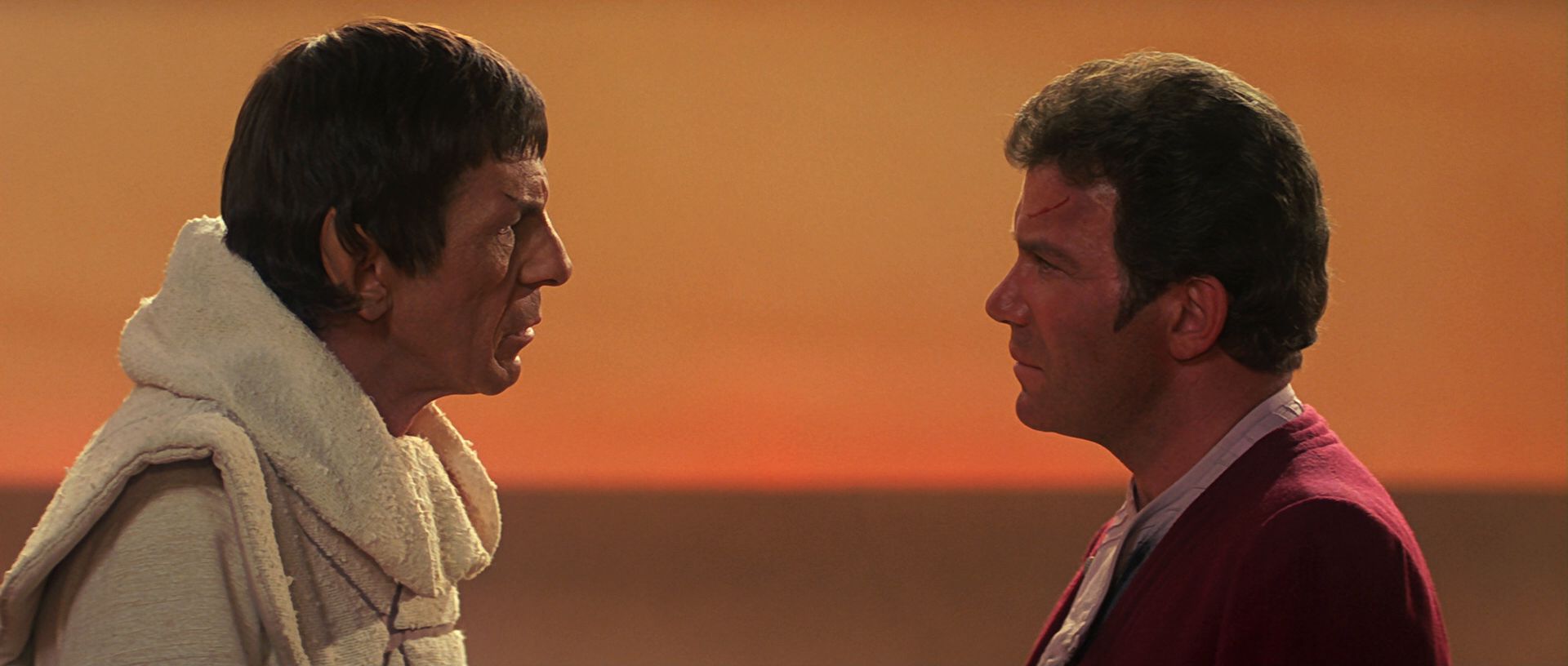 extant_StarTrek3_TheSearchForSpock_07032.jpg