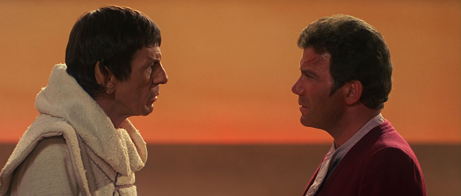 extant_StarTrek3_TheSearchForSpock_07036.jpg